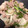 こまさ☆'s cooksnap of when they made 簡単！素材の味を生かした豚カブ炒め.