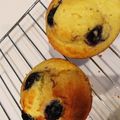 ☆のりねこ☆'s cooksnap of when they made ブルーベリーヨーグルトのミニマフィン.