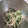 ☆こまっと☆'s cooksnap of when they made ほうれん草ともやしの胡麻和え.