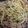 kisr1010's cooksnap of when they made 簡単塩ダレで塩焼きそば.