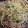 kisr1010's cooksnap of when they made 簡単塩ダレで塩焼きそば.