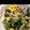 まこパパ's cooksnap of when they made 【ほうれん草と豚肉の簡単マヨネーズ炒め】.