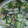 ナーちゃん's cooksnap of when they made レタスのとろとろアサリスープ.