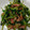 kazue608's cooksnap of when they made そらまめ豆苗のスタミナ炒め.
