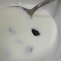 ユーロン's cooksnap of when they made ほったらかしヨーグルト.