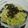 備忘録's cooksnap of when they made 2分で一品♪超旨やみつきキャベツ.