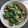 ぺっこぺこー's cooksnap of when they made 鯖缶でほうれん草の胡麻和え.