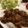 クック85U0Z8☆'s cooksnap of when they made 絶品チキンカレー。隠し味はチョコ☆.