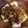 こうきとだいきママ's cooksnap of when they made 厚揚げのネギおかかのっけ.