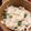 豆とオリーブ's cooksnap of when they made グリンピース旬の味わいご飯◇綺麗な茹で方.