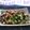 ☆kaoppe☆'s cooksnap of when they made ほうれん草とクランベリーのサラダ.