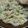 クックW2XCQ6☆'s cooksnap of when they made ネギたっぷり♡パラパラ卵炒飯.