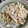 ✩みきゃん✩'s cooksnap of when they made 大根とささみのわさマヨ和え.
