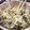 mamimuwa's cooksnap of when they made ほうれん草ともやしの胡麻和え♡.