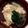 Runrunrunta's cooksnap of when they made 鶏団子と長芋のお吸い物.