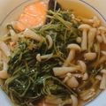 クックY7ITSY☆'s cooksnap of when they made シャケの豆苗&エノキあんかけ.