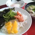 にゃんがす's cooksnap of when they made １人ご飯☆さっぱり梅しそしらす丼.