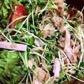 港UV's cooksnap of when they made まぜるだけ♪かいわれ大根のキレイサラダ♪.
