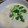 クックMZZ41M☆'s cooksnap of when they made 白だしだけで☆簡単☆でっかい茶碗蒸し.