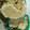 しまむら君。's cooksnap of when they made ずぼら！えのきの切り方・洗い方.