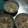 たかえのり's cooksnap of when they made 大根の重ね蒸し・熟味酢ソース.