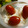 maruru-nn's cooksnap of when they made 楽うま☆大根とカニかまのおかか和え.