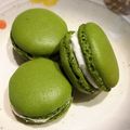 たくぽんす's cooksnap of when they made 抹茶チョコ＊マカロン.