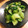 ayuha21's cooksnap of when they made 青梗菜のオイスター炒め.