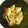クック6GB4I4☆'s cooksnap of when they made 長芋とえのきのバターポン酢炒め.