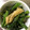 やんちゃ坊主☆'s cooksnap of when they made レンジde簡単。ほうれん草のお浸し.