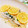 干芋くん's cooksnap of when they made レンジで簡単！　白身魚のきのこ蒸し.