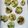 えま＊'s cooksnap of when they made 離乳食後期 じゃがいもとしらすのおやき.