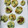 えま＊'s cooksnap of when they made 離乳食後期 じゃがいもとしらすのおやき.