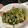 あや。。！'s cooksnap of when they made お弁当に♪ハムとほうれん草のバター炒め♪.