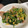 あや。。！'s cooksnap of when they made お弁当に♪ハムとほうれん草のバター炒め♪.
