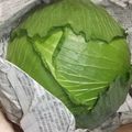 きらり流れ星's cooksnap of when they made 試して実感！キャベツの保存法.