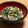 ぽめchan's cooksnap of when they made ❤話題入り❤鍋 水炊き 湯豆腐のタレ.