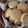 こびぃ。's cooksnap of when they made サクサク！ディアマンクッキー.
