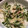 アコレモネード's cooksnap of when they made *かいわれ大根とツナの和え物*.