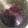 クック4VCD1Y☆'s cooksnap of when they made 簡単！玉ねぎステーキソース！.