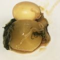sara5ku45j's cooksnap of when they made 大根一本だけの味噌煮込.