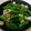 ちびむく's cooksnap of when they made スナップエンドウのシーフード塩炒め.