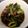 気分転換が料理。's cooksnap of when they made ニンニクの芽とベーコンの炒め物.