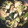 ＹＫＮ４．３'s cooksnap of when they made 鍋の残り野菜の煮びたし.