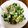ナチュキチ♪'s cooksnap of when they made ほうれん草小松菜いろいろ炒め《保存用に》.