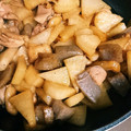 mocomosan's cooksnap of when they made 超簡単♪旨うま大根と鶏肉の炒め煮♪.