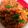（＊あωや＊）'s cooksnap of when they made …　野菜入りパンがゆ　….