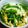 say26's cooksnap of when they made アスパラ菜（ｵｰﾀﾑﾎﾟｴﾑ）の卵とじ炒.