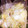 ゆうこちん30's cooksnap of when they made 白菜の漬物.