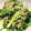 クックE662AA☆'s cooksnap of when they made 簡単♡ほうれん草と人参のナムル.